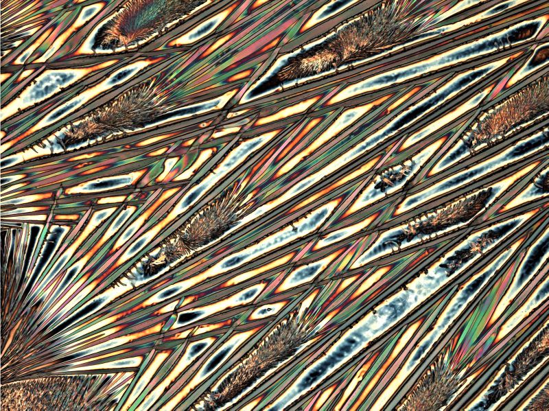 Illustration for article titled 27 Amazing Images From the Depths of Scientific Labs